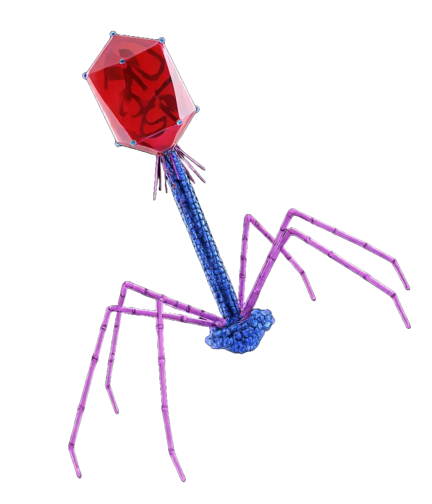 phage therapy constantinos patinios laaratory